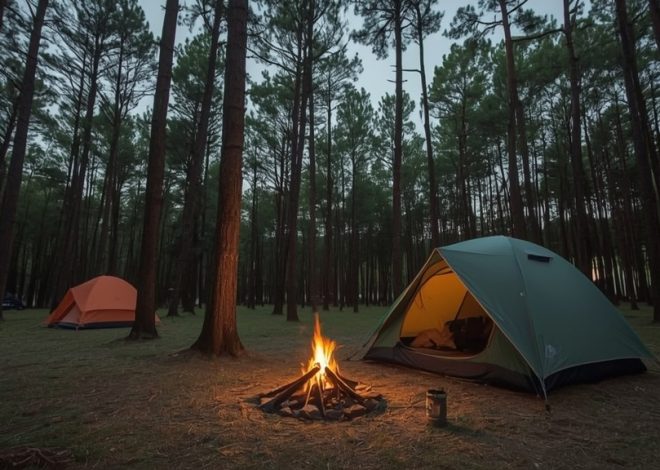 Panduan Lengkap Camping Seru untuk Pemula: Dari Tenda hingga Api Unggun